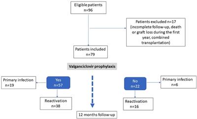 Valganciclovir is not associated with decreased EBV infection rate in pediatric kidney transplantation